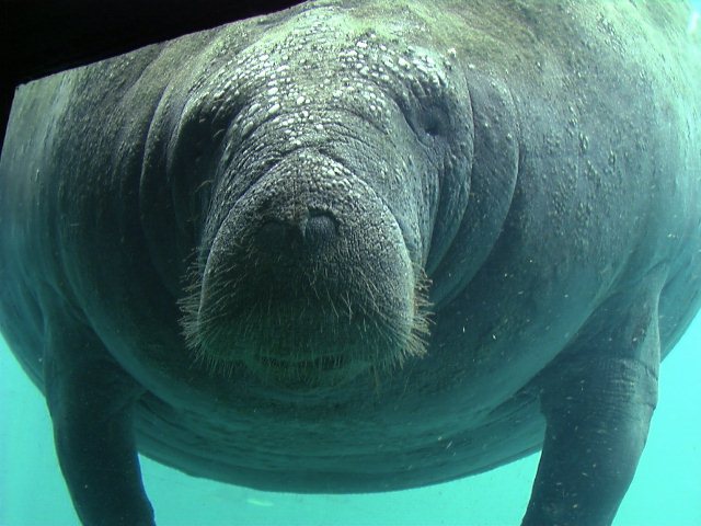 Florida Photo 6